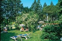 Hotel Ariston Molino - Giardino